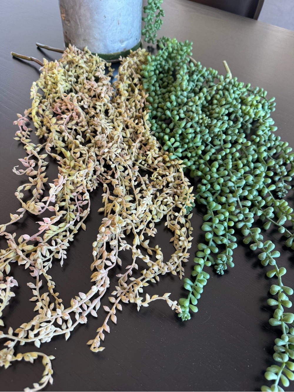Faux Succulent Hanging Stem - Green and Cream